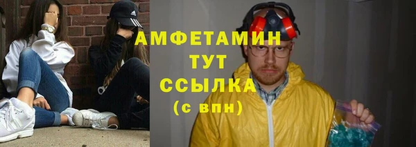 прущие грибы Балабаново