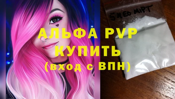 прущие грибы Балабаново